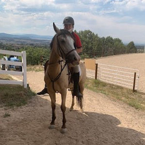 Meet your Posher, Ryder